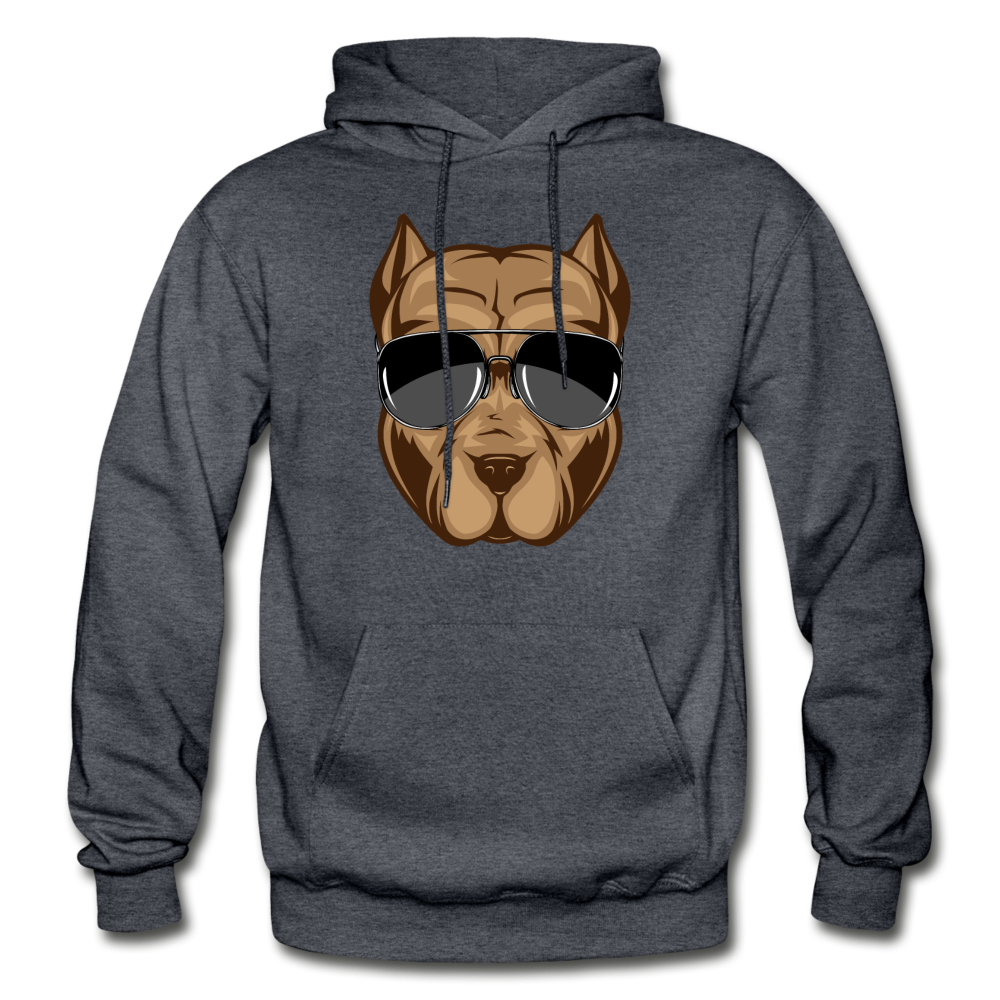 Cool Dog Sunglasses Hoodie - charcoal gray