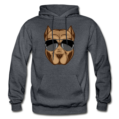 Cool Dog Sunglasses Hoodie - charcoal gray